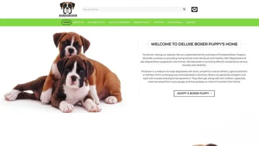 Screenshot of