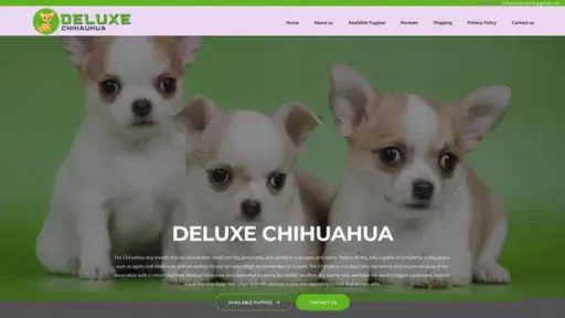 Screenshot of