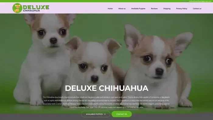 Screenshot of