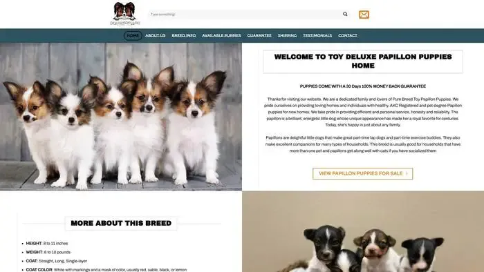 Screenshot of
