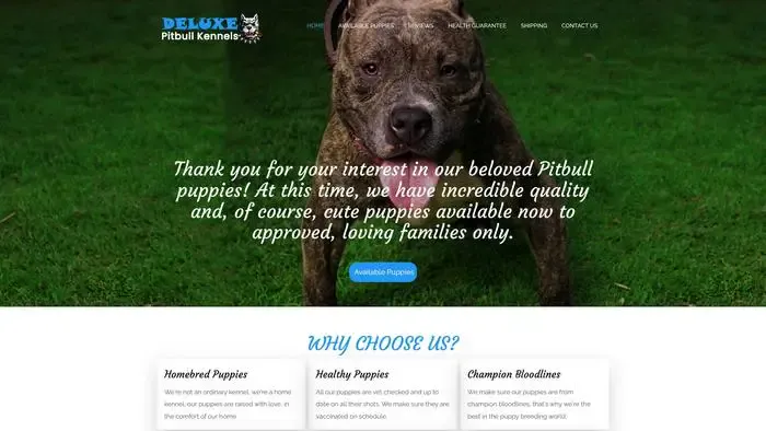 Screenshot of