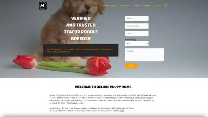Screenshot of