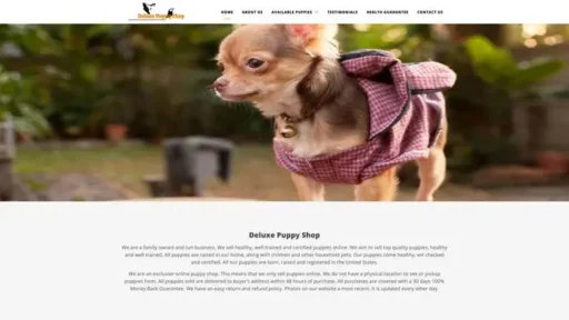 Screenshot of