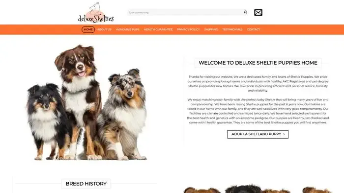 Screenshot of