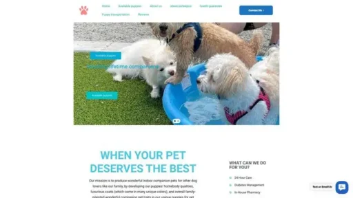 Screenshot of