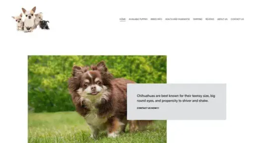 Screenshot of