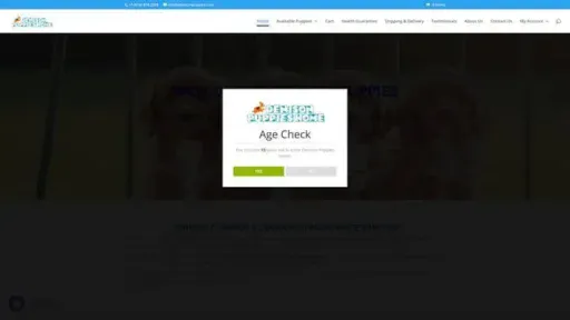 Screenshot of