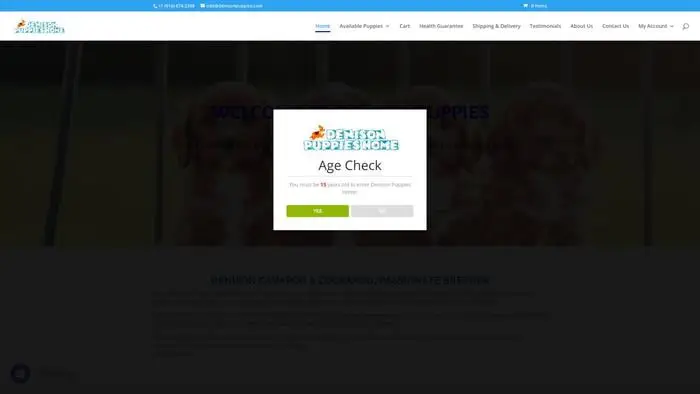 Screenshot of