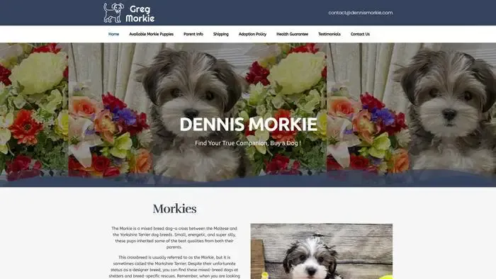 Screenshot of