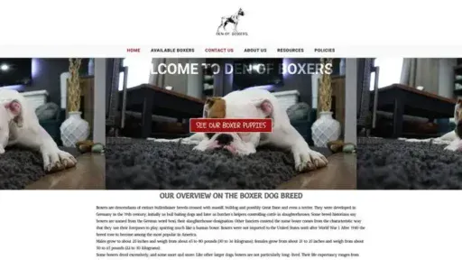 Screenshot of