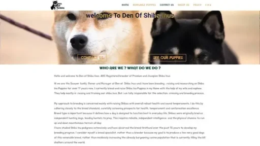 Screenshot of