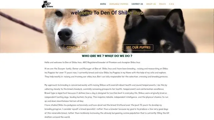 Screenshot of