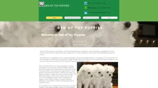 Screenshot of