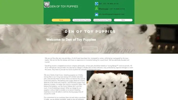 Screenshot of