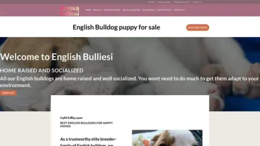 Screenshot of