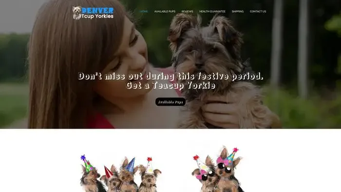 Screenshot of