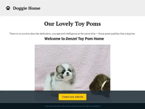 Screenshot of