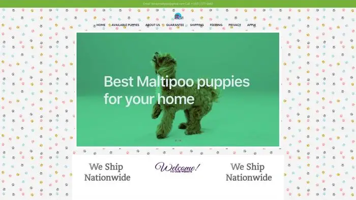 Screenshot of