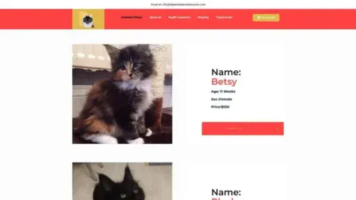 Screenshot of