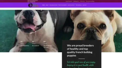 Screenshot of