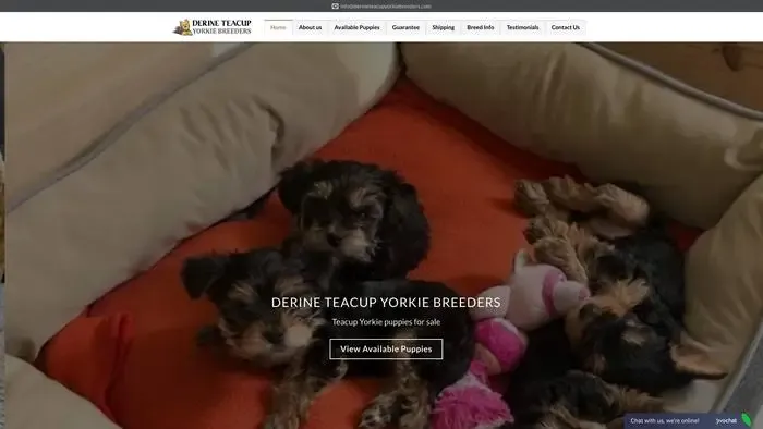 Screenshot of