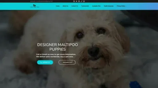 Screenshot of||