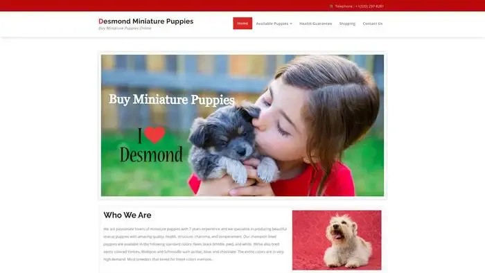 Screenshot of