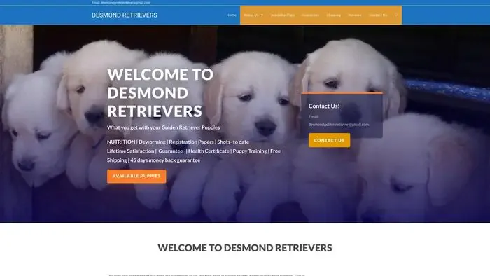 Screenshot of