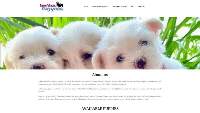 Screenshot of
