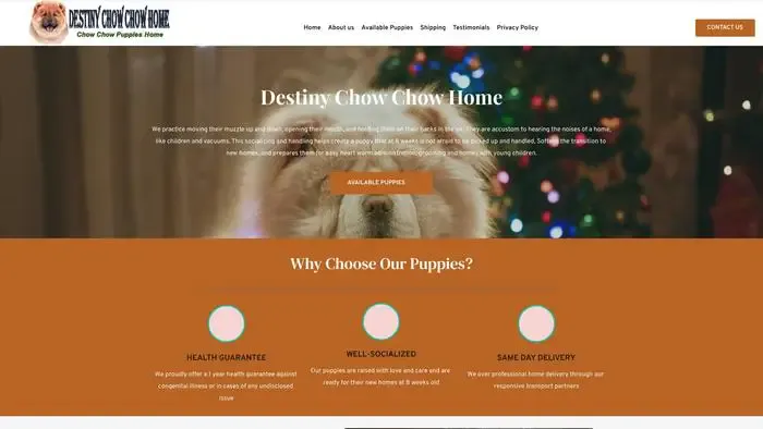 Screenshot of