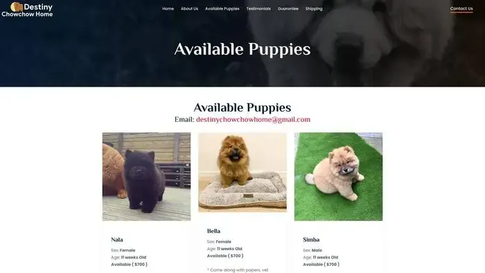 Screenshot of