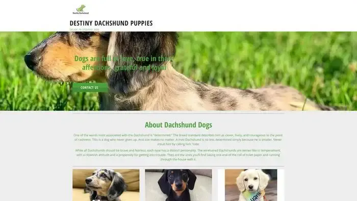 Screenshot of