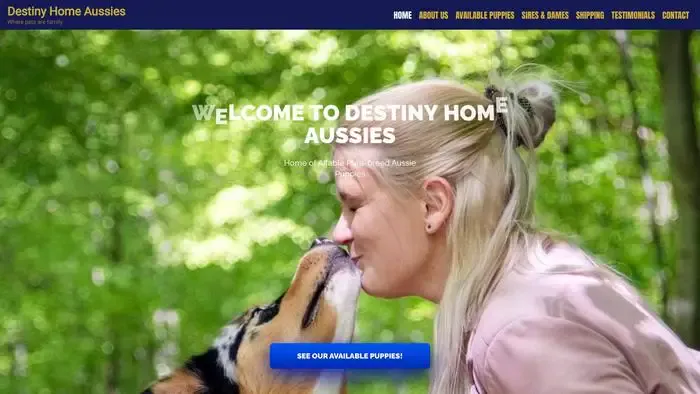 Screenshot of