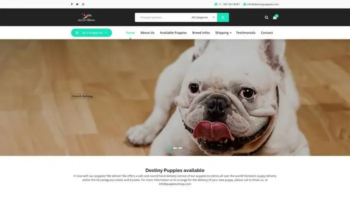 Screenshot of