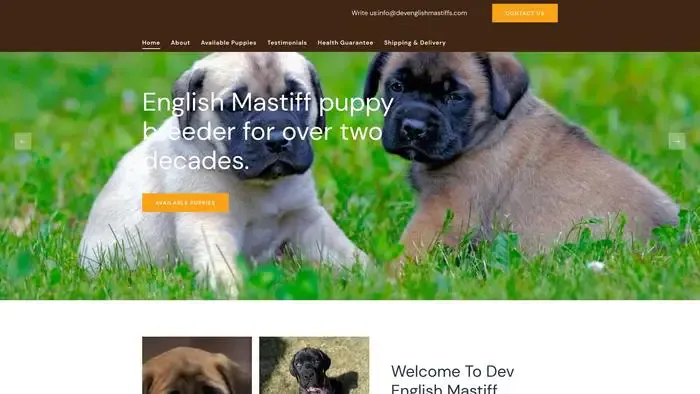 Screenshot of