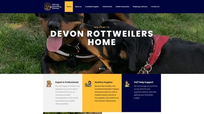 Screenshot of