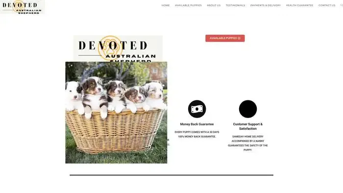Screenshot of