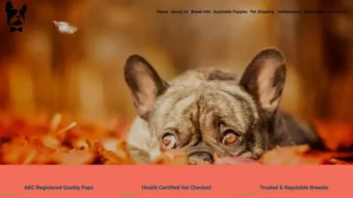 Screenshot of