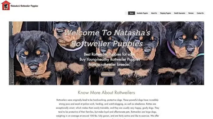 Screenshot of