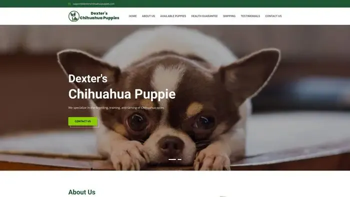 Screenshot of