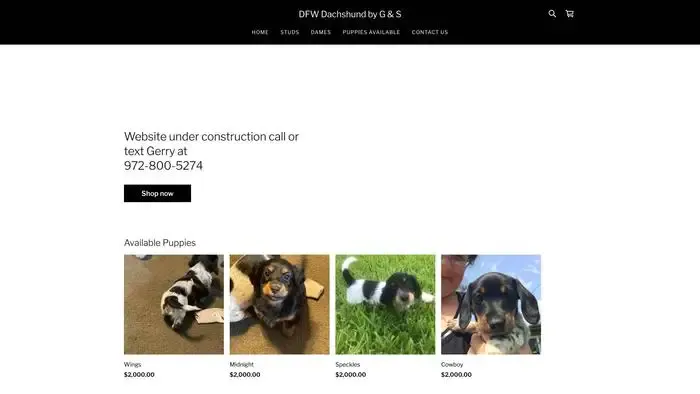 Screenshot of