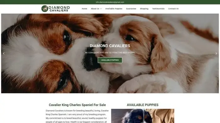 Screenshot of