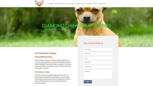 Screenshot of
