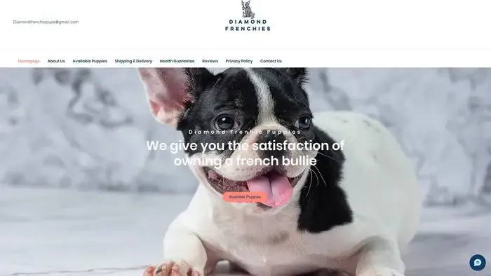 Screenshot of