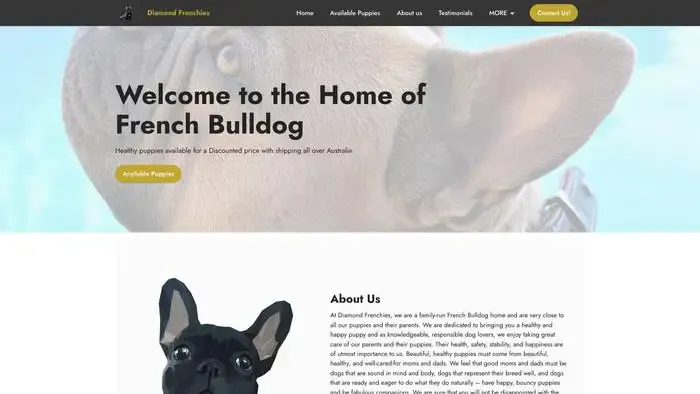 Screenshot of