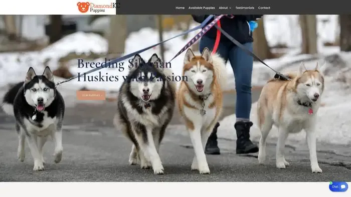Screenshot of