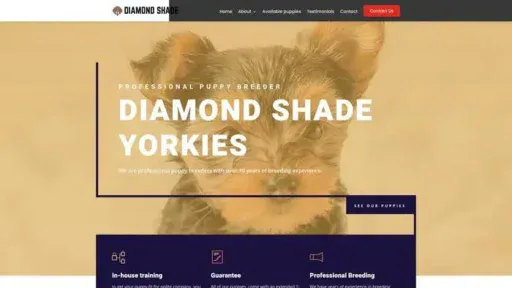 Screenshot of