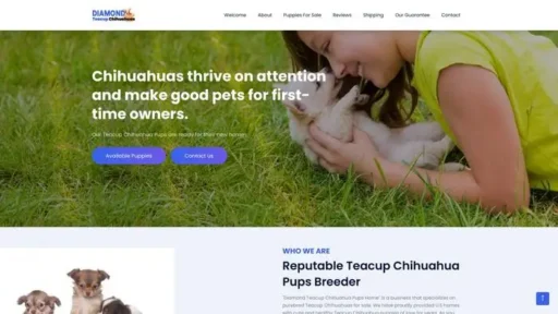 Screenshot of