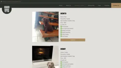 Screenshot of