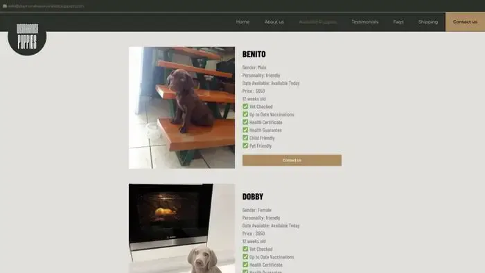 Screenshot of